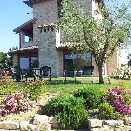 Agriturismo La Torraccia 托迪 外观 照片
