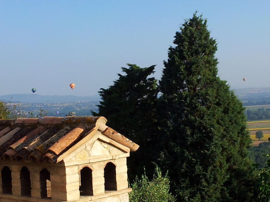 Agriturismo La Torraccia 托迪 外观 照片