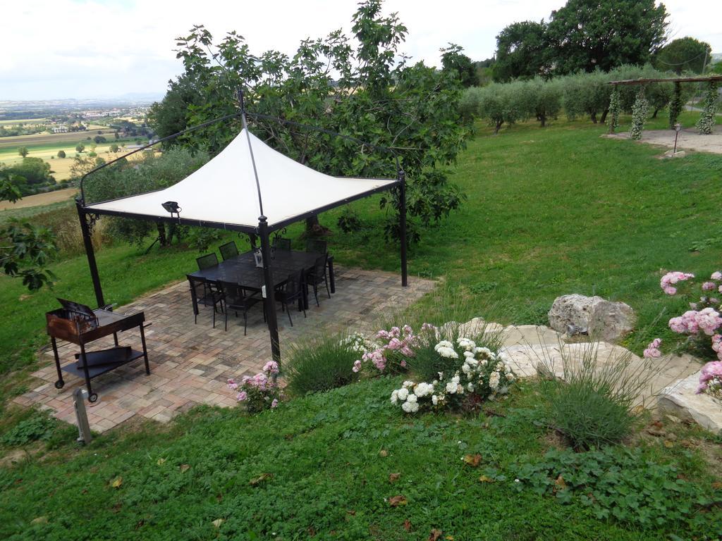 Agriturismo La Torraccia 托迪 外观 照片