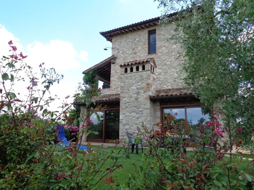 Agriturismo La Torraccia 托迪 外观 照片