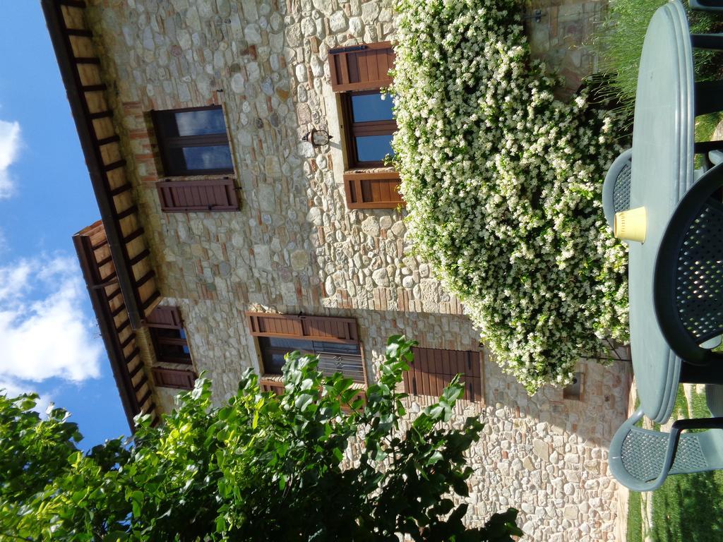 Agriturismo La Torraccia 托迪 外观 照片