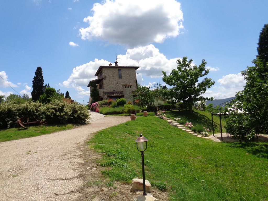 Agriturismo La Torraccia 托迪 外观 照片