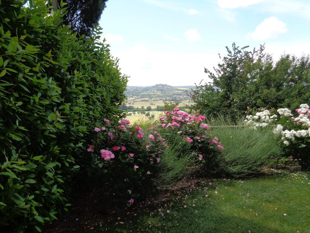 Agriturismo La Torraccia 托迪 外观 照片